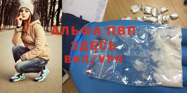 прущий лед Абаза