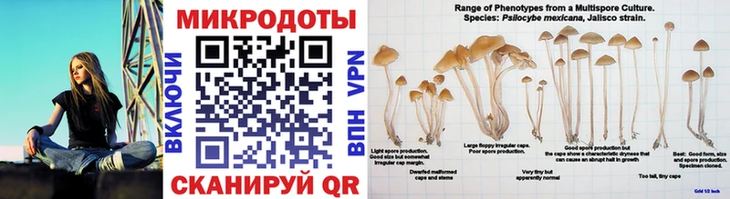 mega ссылка  наркошоп  Костомукша  Псилоцибиновые грибы мицелий 